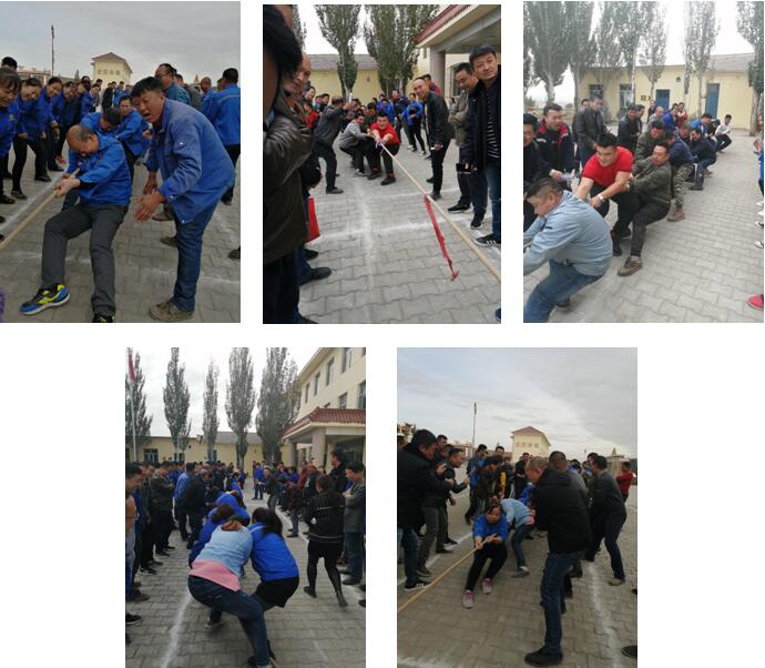 少妇性BBB搡BBB爽爽爽欧美