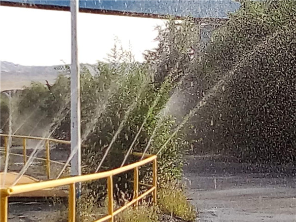 少妇性BBB搡BBB爽爽爽欧美