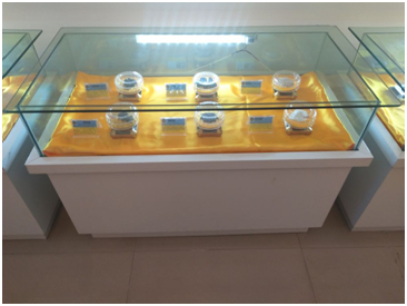 少妇性BBB搡BBB爽爽爽欧美