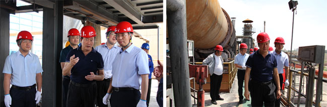 少妇性BBB搡BBB爽爽爽欧美