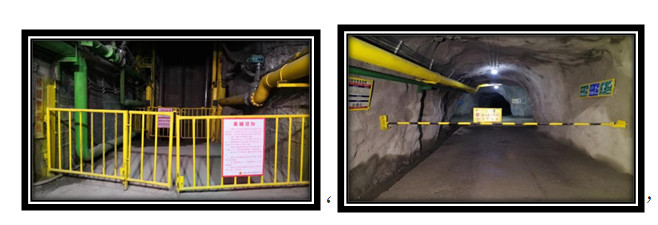 少妇性BBB搡BBB爽爽爽欧美