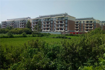 少妇性BBB搡BBB爽爽爽欧美