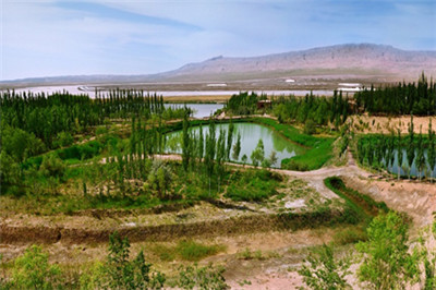 少妇性BBB搡BBB爽爽爽欧美