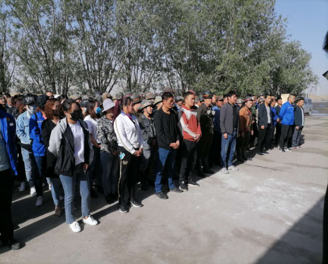 少妇性BBB搡BBB爽爽爽欧美