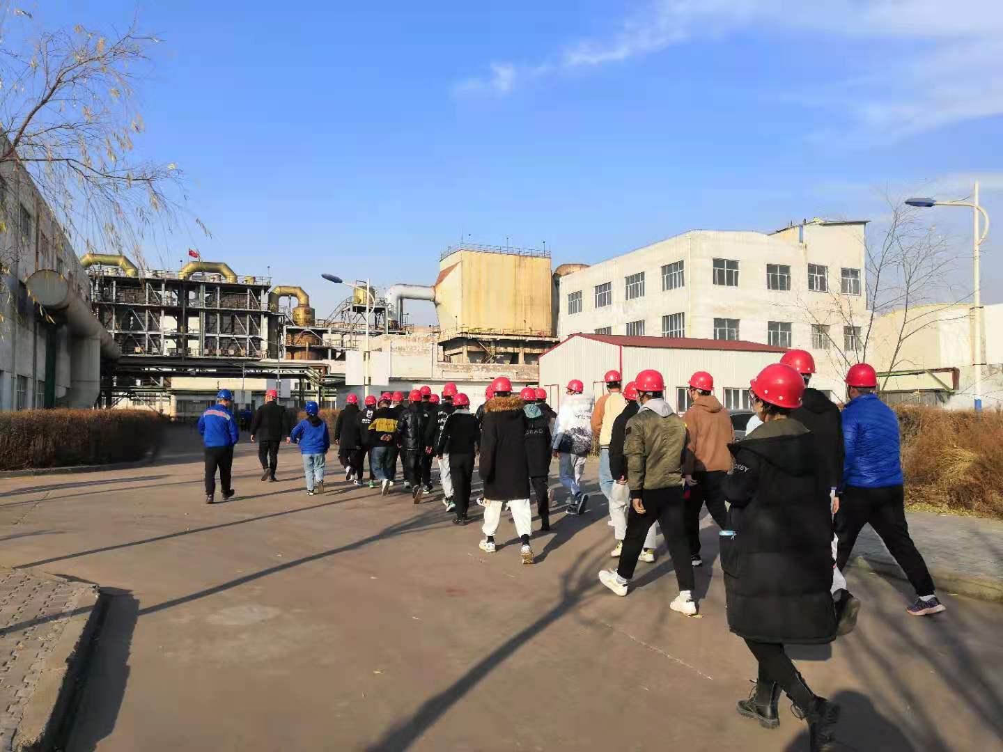 少妇性BBB搡BBB爽爽爽欧美