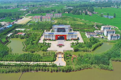 少妇性BBB搡BBB爽爽爽欧美