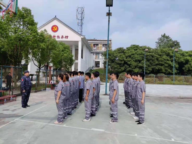 少妇性BBB搡BBB爽爽爽欧美