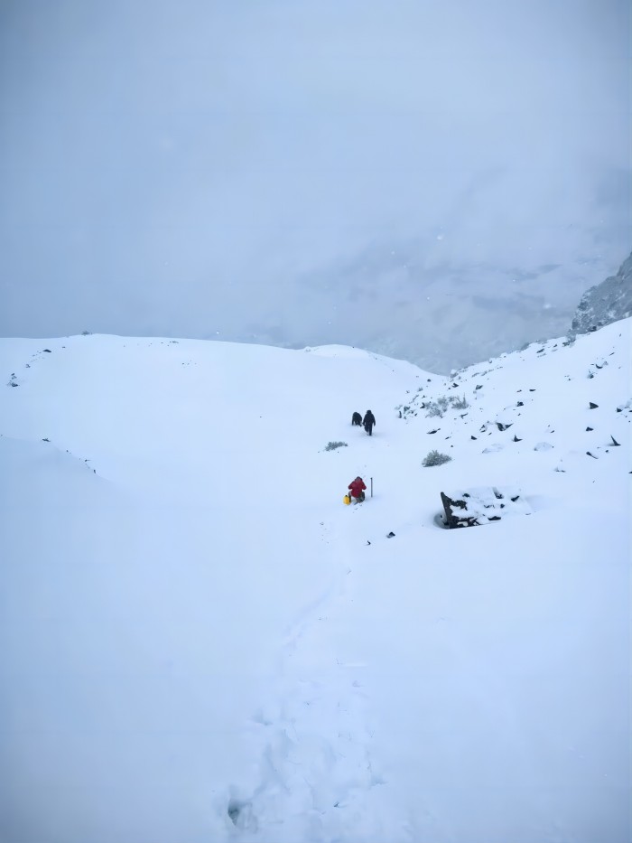 少妇性BBB搡BBB爽爽爽欧美