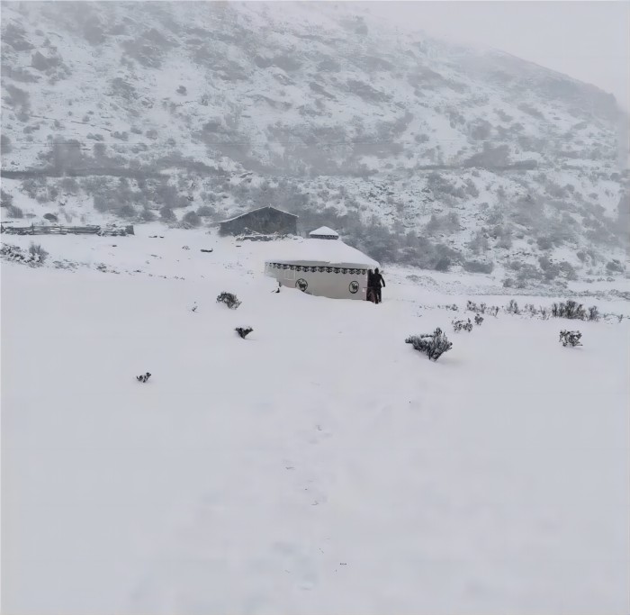 少妇性BBB搡BBB爽爽爽欧美