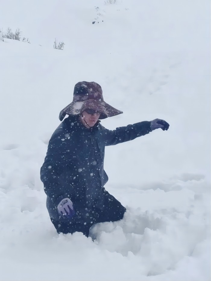 少妇性BBB搡BBB爽爽爽欧美