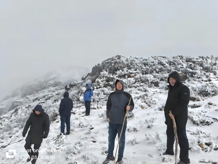 少妇性BBB搡BBB爽爽爽欧美