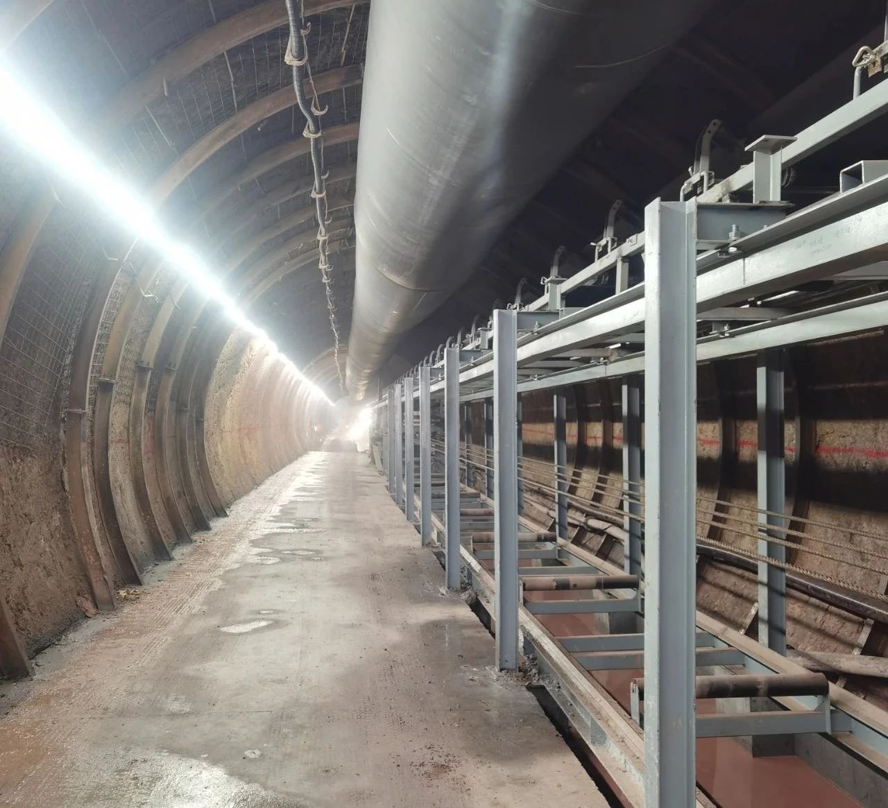 少妇性BBB搡BBB爽爽爽欧美