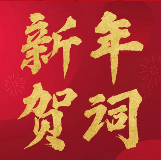 大中矿业实际控制人林来嵘先生二〇二六年新年贺词